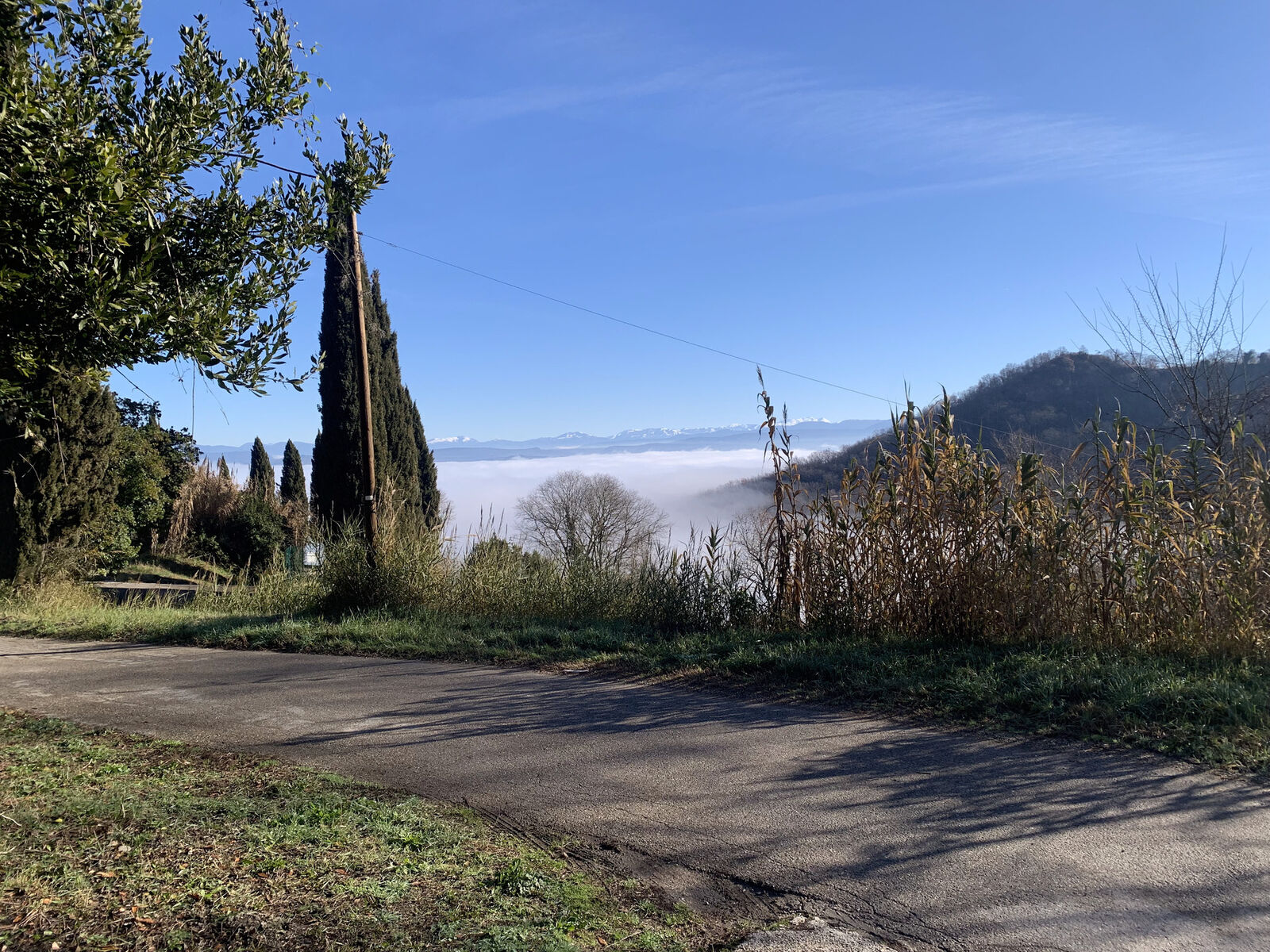 Bassano in Teverina